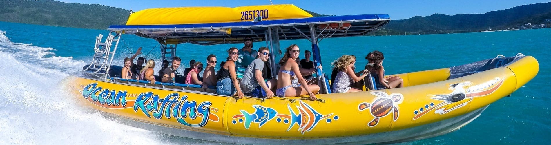 airlie beach accommodation