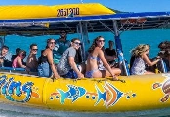 airlie beach accommodation