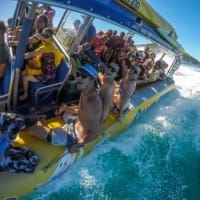 whitsundays snorkelling