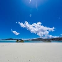whitehaven beach tour