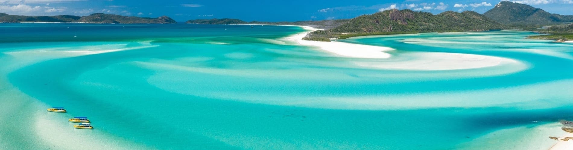 daydream island tours