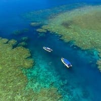tours from daydream island