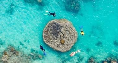 tours from daydream island