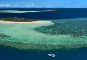 Eagle eye view of Fringing Reef