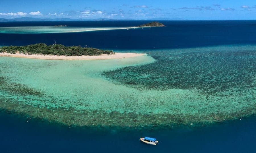 Eagle eye view of Fringing Reef