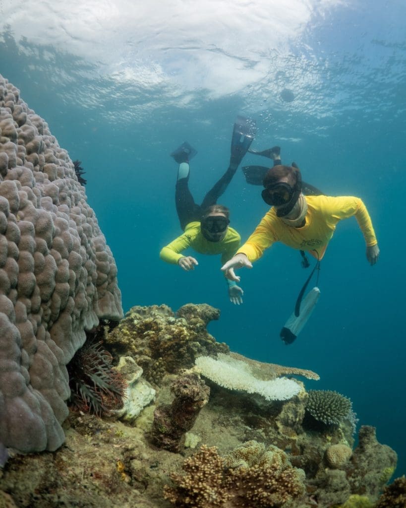 The Tourism Reef Protective Intiative- crew and coral