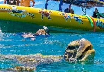 whitsundays snorkelling